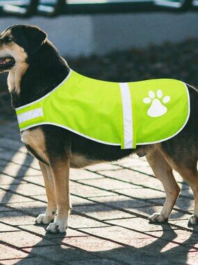 2 Piece Dog Reflective Vest Adjustable Dog Safety Service Vest XL